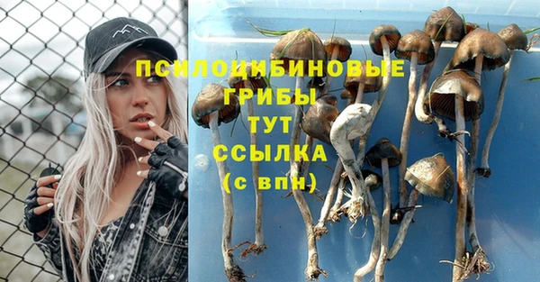 амф Нефтегорск