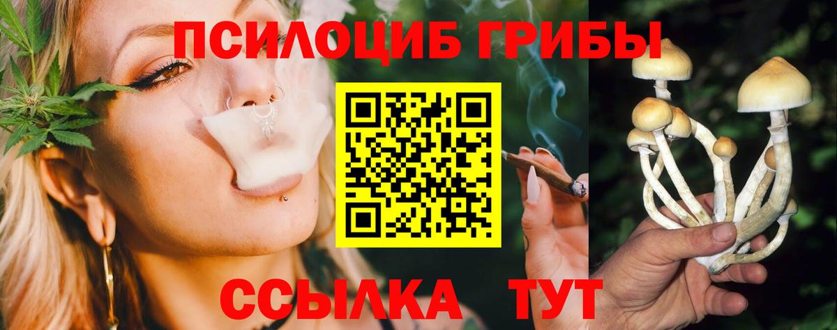 Галлюциногенные грибы мицелий  Вход с VPN  Сосновоборск 