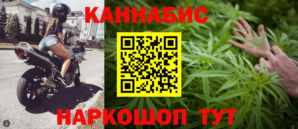 Бошки марихуана индика  Марихуана тримм  Шишки марихуана план  Сосновоборск  Вход с VPN 